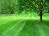 Click for all images